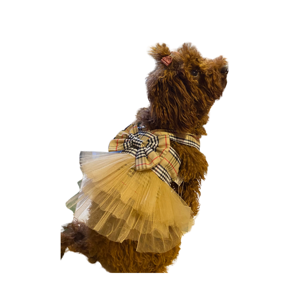 Gedyco Bej Ekose Tütülü Küçük Irk Köpek Elbisesi