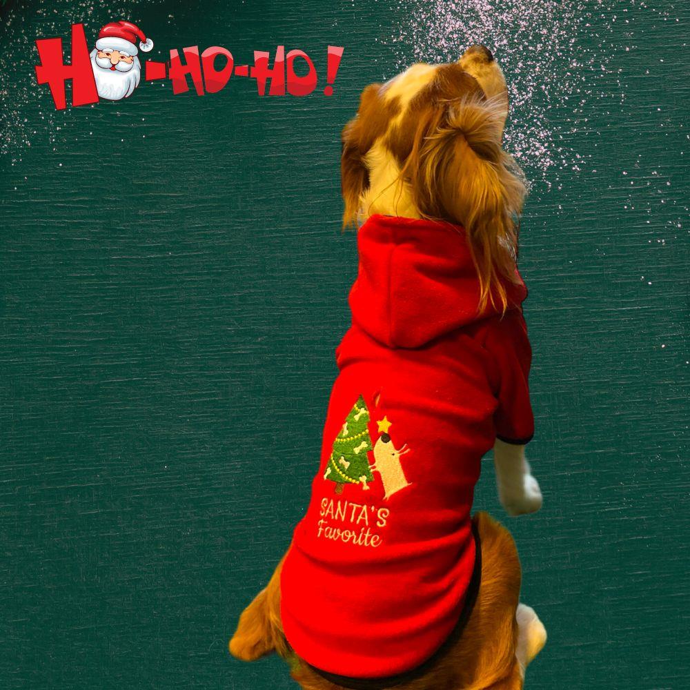 Alphadog Santa's Favorite Küçük Irk Köpek Poları
