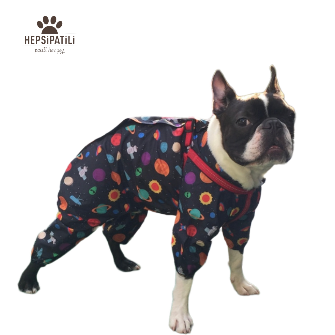 Alphadog Space İnce Küçük Irk Köpek Yağmurluk Tulum