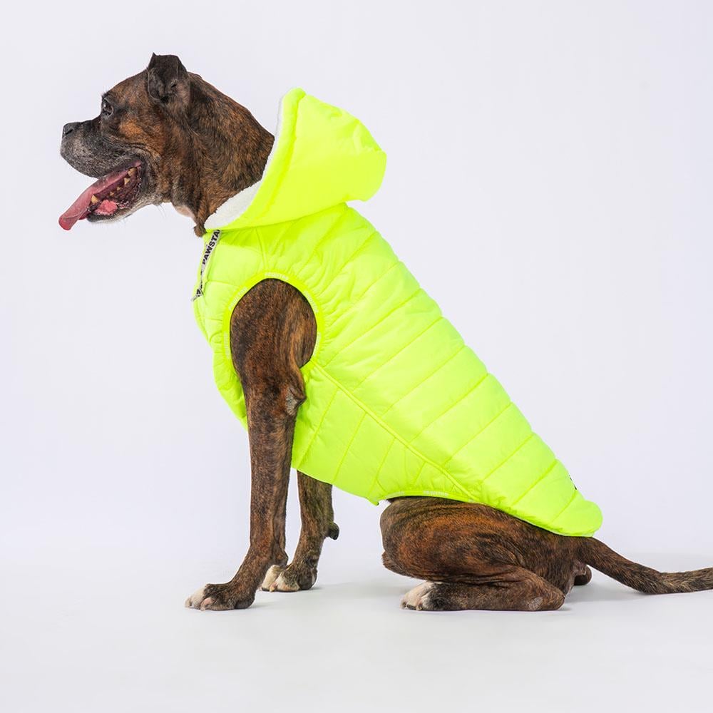Pawstar Railway Neon Sarı Su İtici Orta-Büyük Irk Köpek Yelek Yağmurluk
