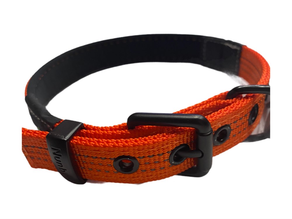 İçi Köpük Destekli Şık Premium Boyun Tasması 2 cm x 35-45 cm