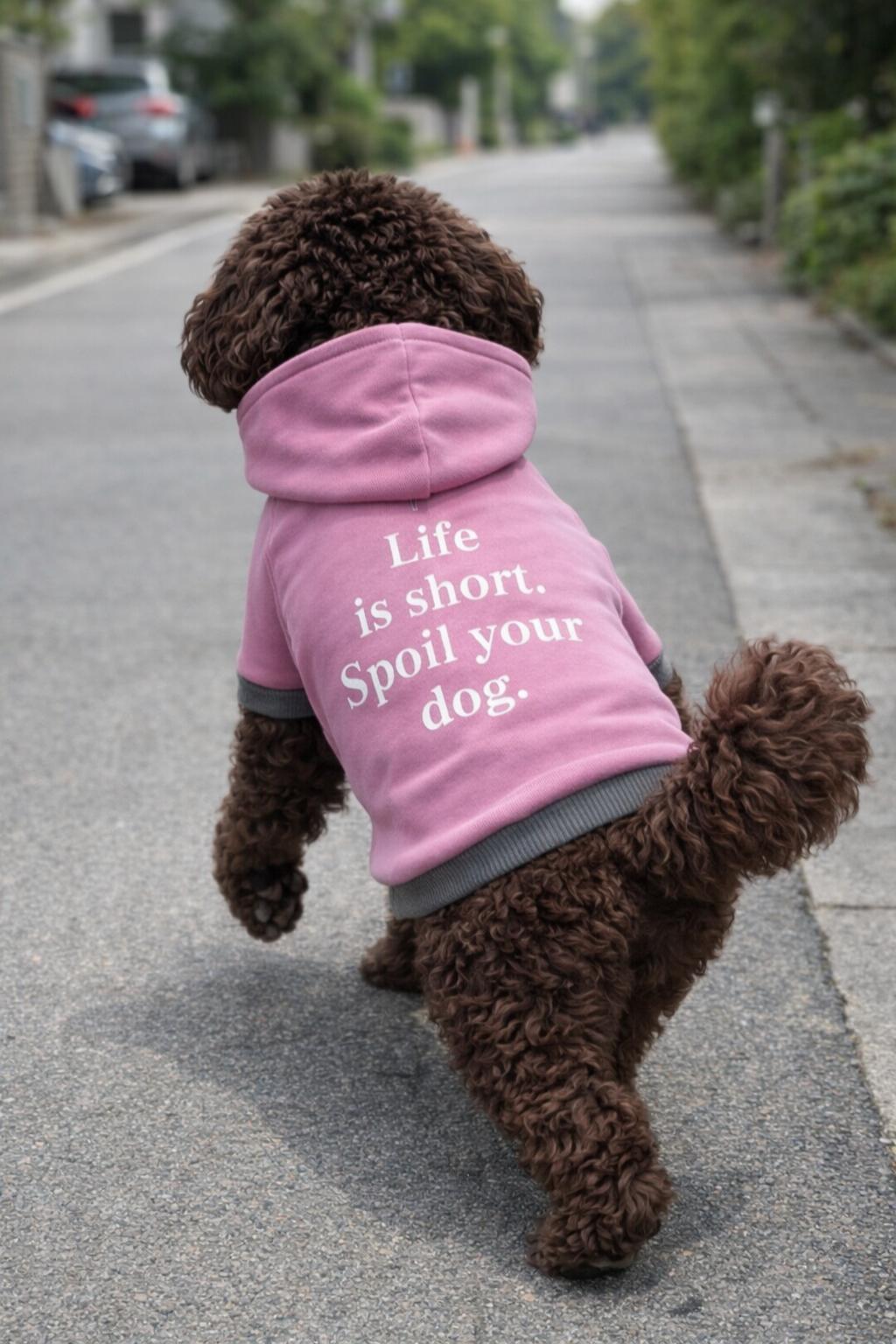 Alphadog Lila Polarlı Küçük Irk Köpek Sweatshirtü 5 (9 kg-12 kg arasına uygun)