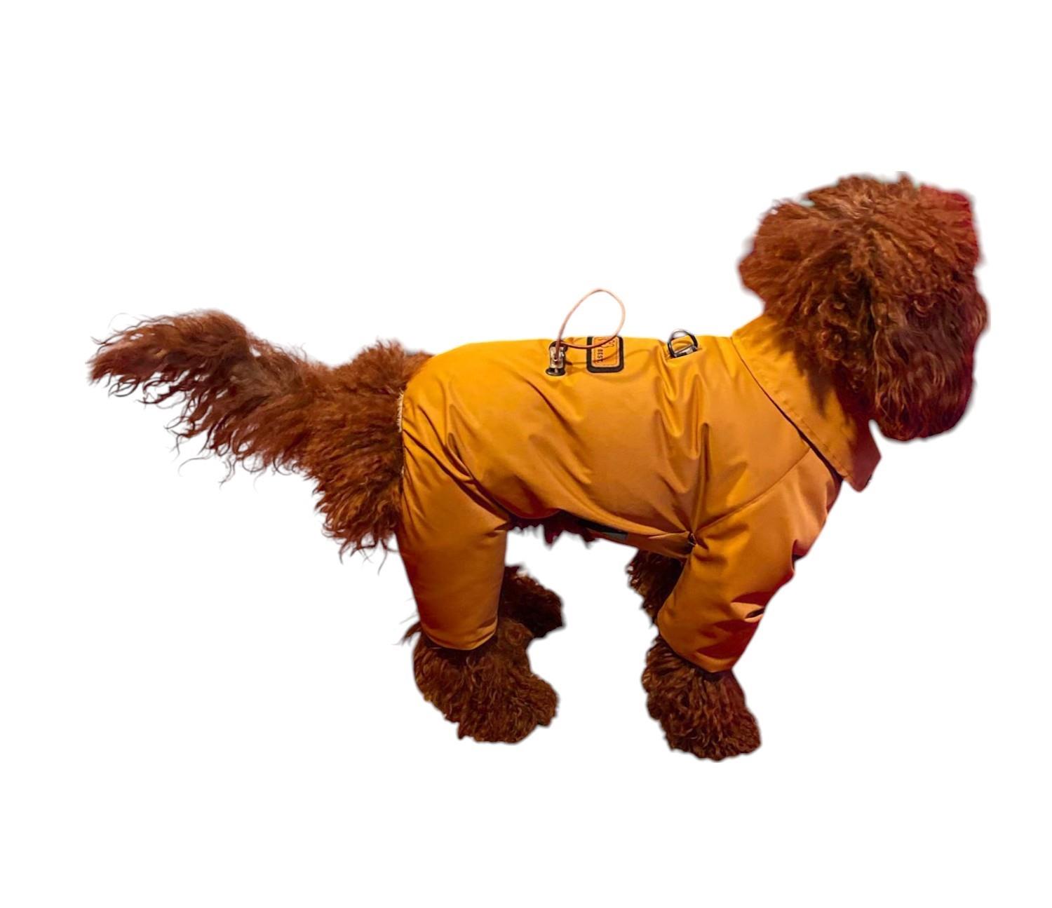 Gedyco Su Geçirmez içi Peluşlu Tarçın Küçük Irk Köpek Tulum Yağmurluk 