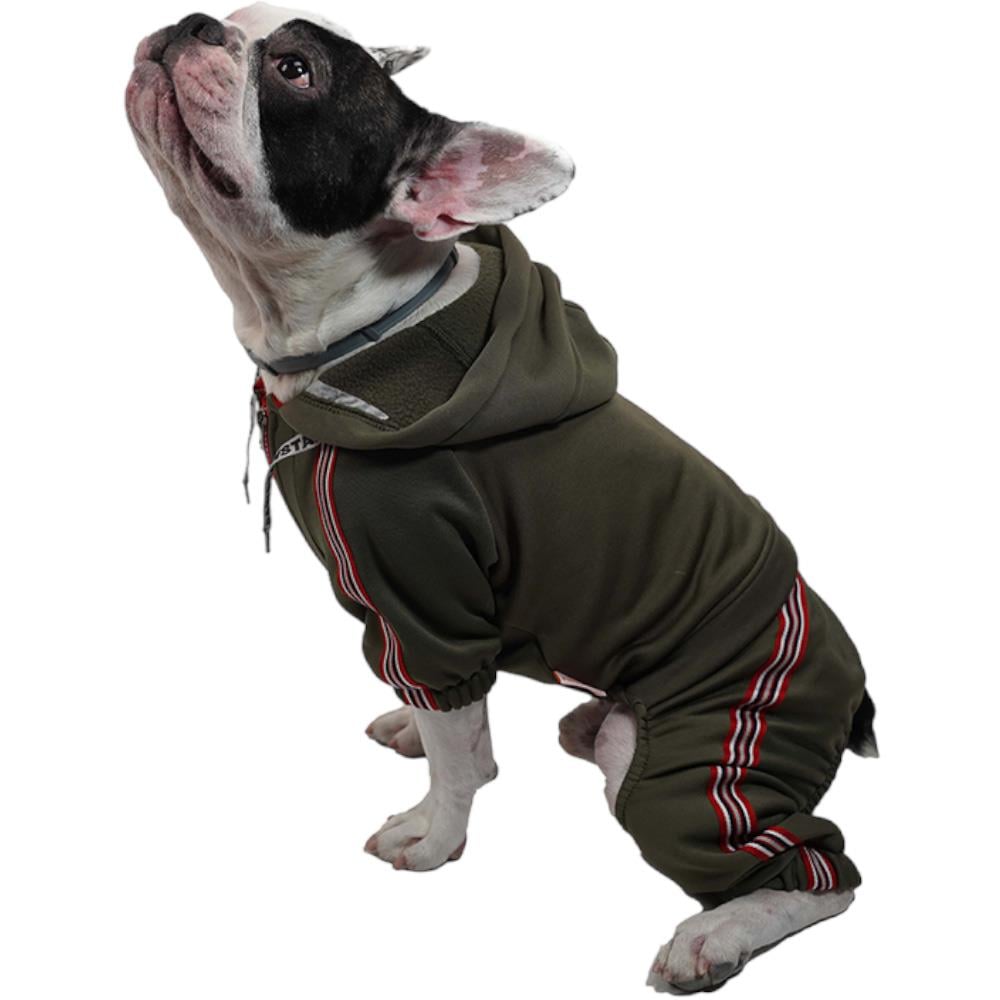 Pawstar Haki Tuta Küçük Irk Köpek Tulumu