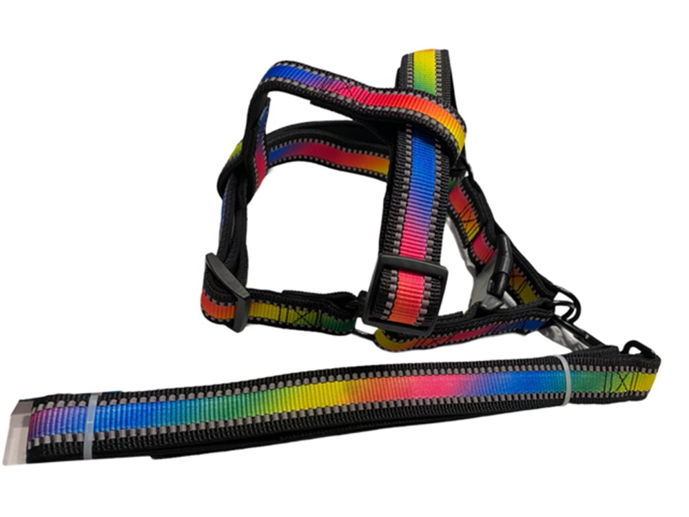 Reflektörlü Rengarenk Köpek Tasma Seti 2 cm - 120 cm (40 - 60 cm göğüs)