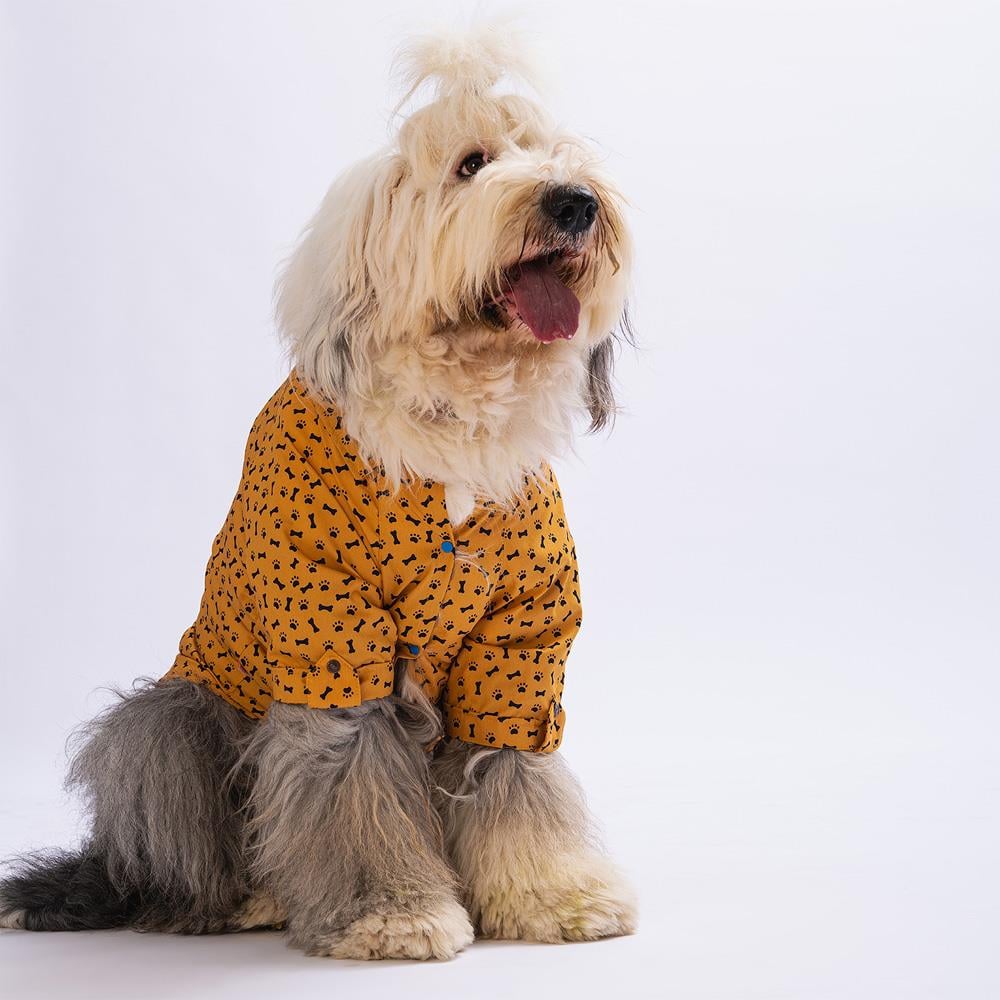 Pawstar Mustard Ossa Orta-Büyük Irk Köpek Gömleği (11 kg-45 kg arasına uygun)