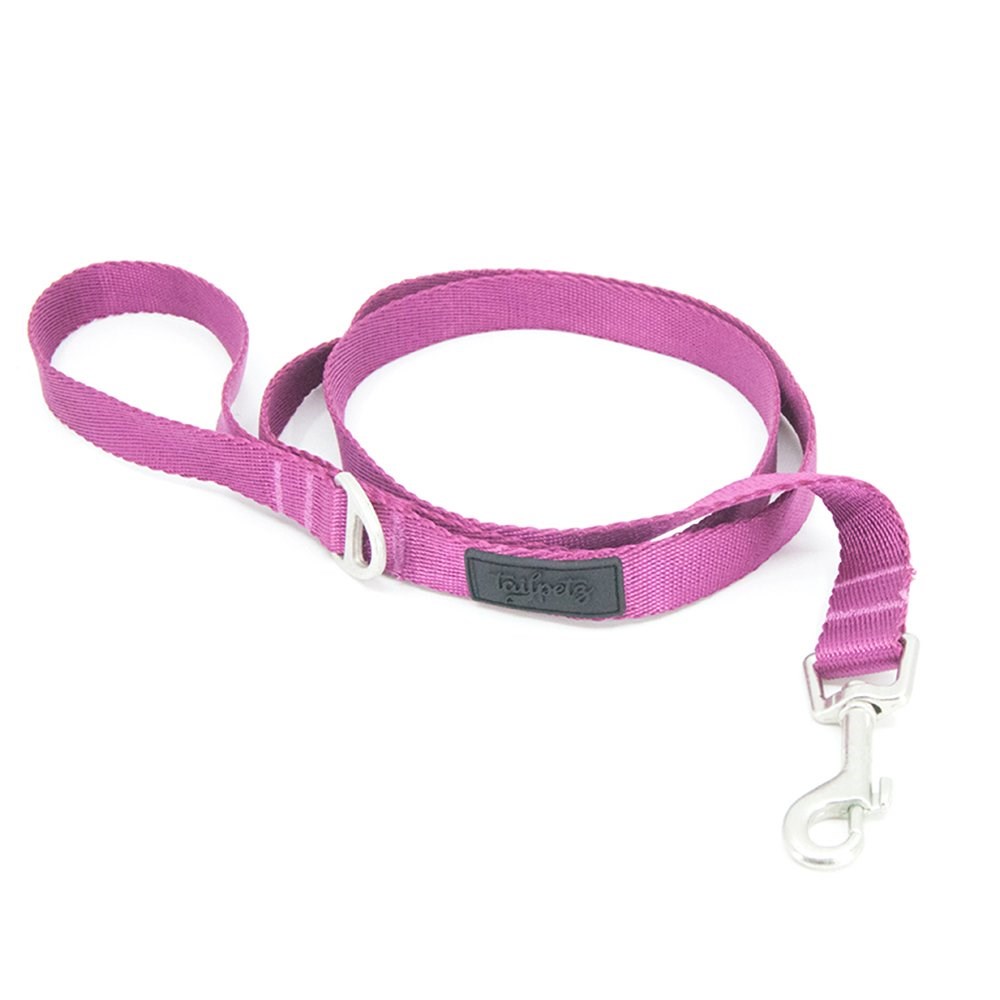 Tailpetz Mor Köpek Gezdirme Kayışı 120 cm x 1,2 cm