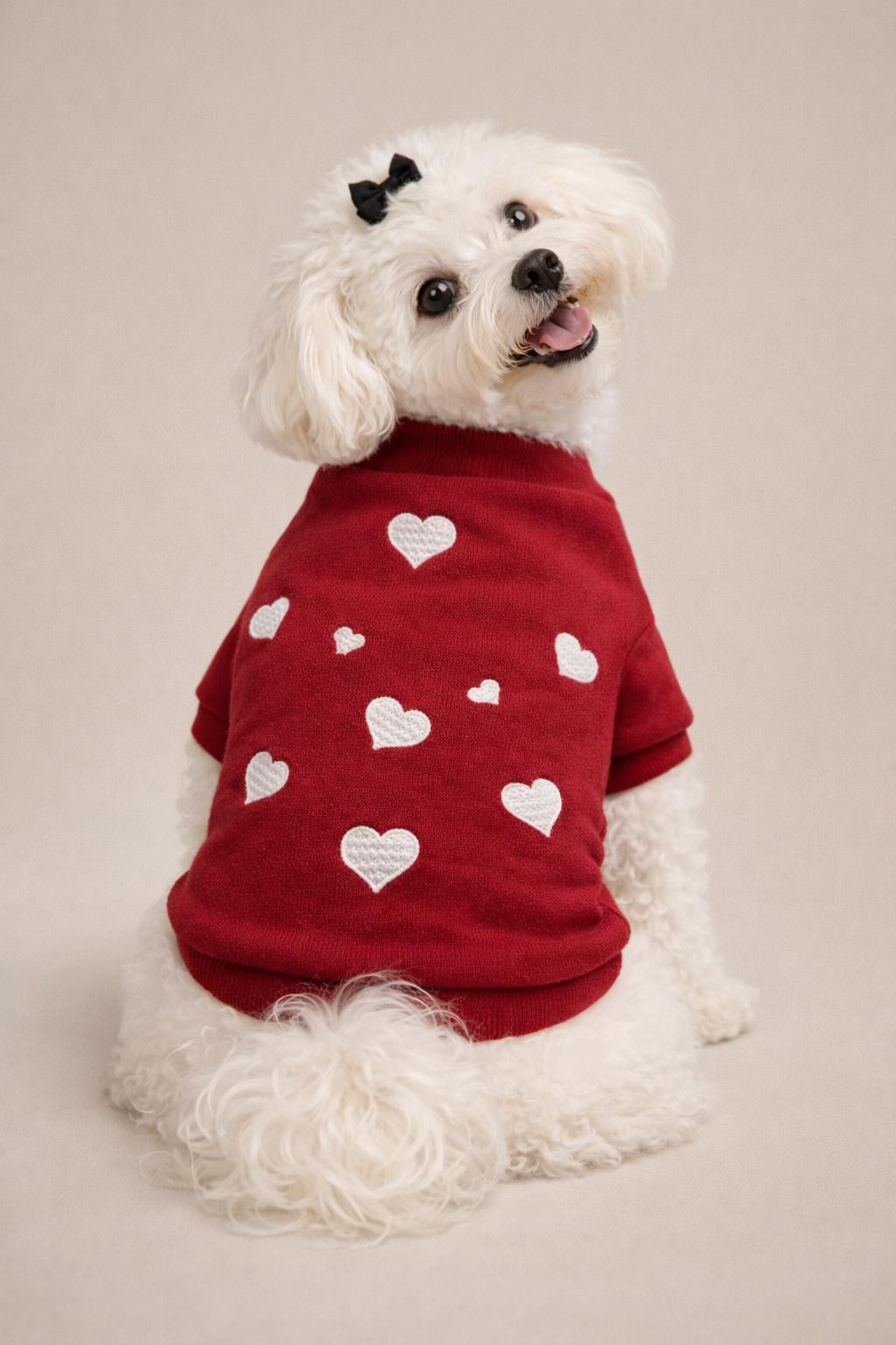 Gedyco Love Küçük Irk Köpek Sweatshirtü Bordo
