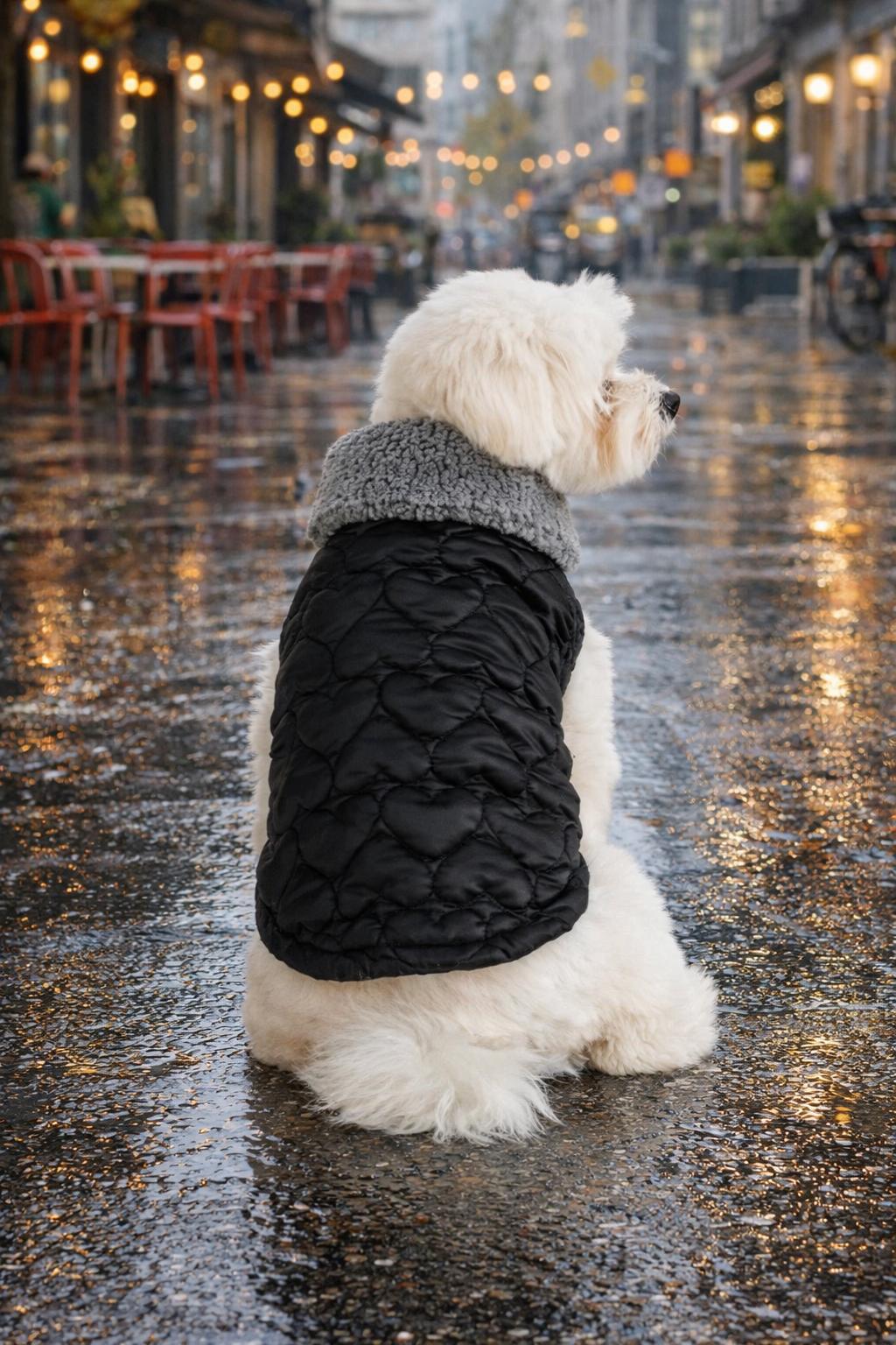 Gedyco Siyah Kapitone İçi Peluşlu Küçük Irk Köpek Yeleği