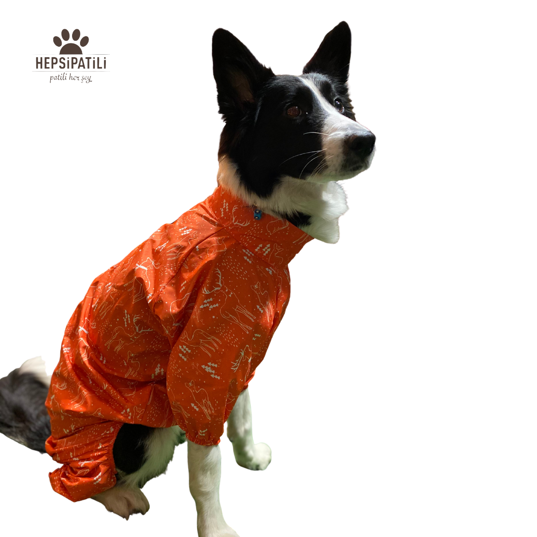 Alphadog North İnce Orta-Büyük Irk Köpek Yağmurluk Tulum