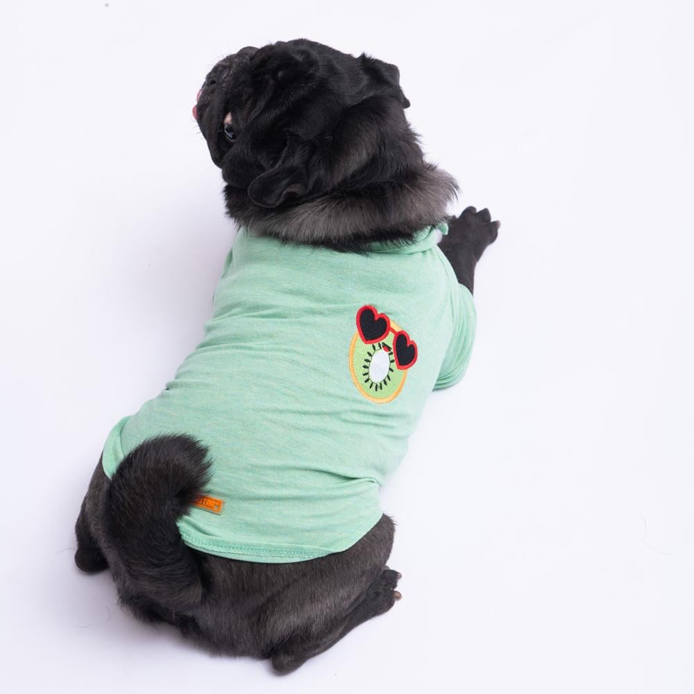 Pawstar Kiwi Küçük Irk Köpek Polo T-shirtü (2,5 kg-11 kg arasına uygun)