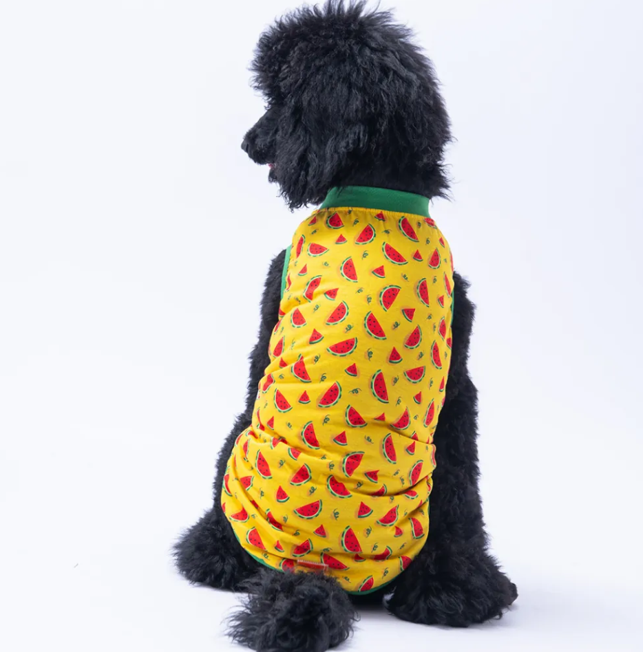 PawStar Watermelon  T-Shirt Büyük Irk