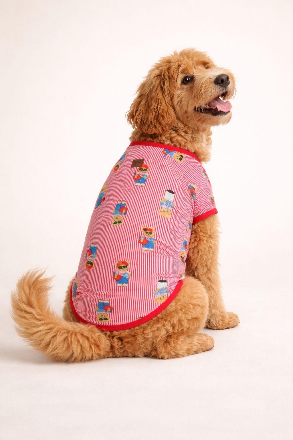 Alphadog Teddy Küçük Irk Köpek T-shirtü