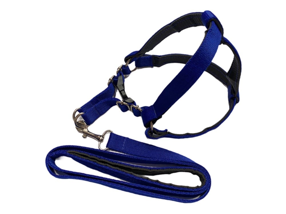 Küçük-Orta Boy Yumuşak Dokulu Göğüs Tasması ve Gezdirme Kayışı Seti 2 cm x 105 cm (50 cm göğüs)