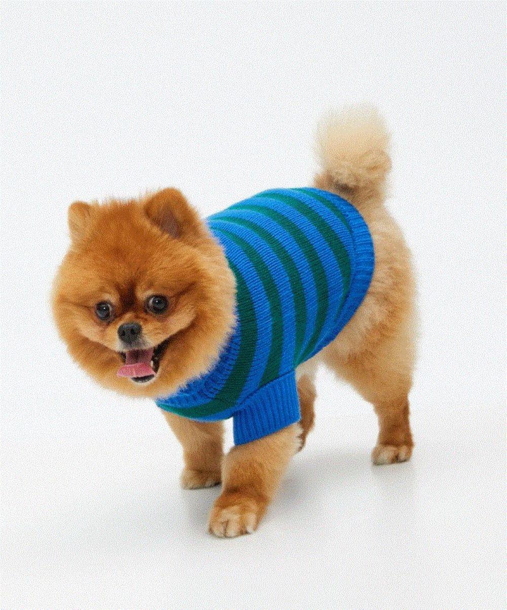 Koton Mavi-Yeşil Küçük Köpek Kazağı