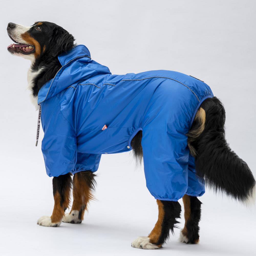 Pawstar Sax Mavi Muson Polarlı Su Geçirmez Orta-Büyük Irk Köpek Yağmurluk Tulum