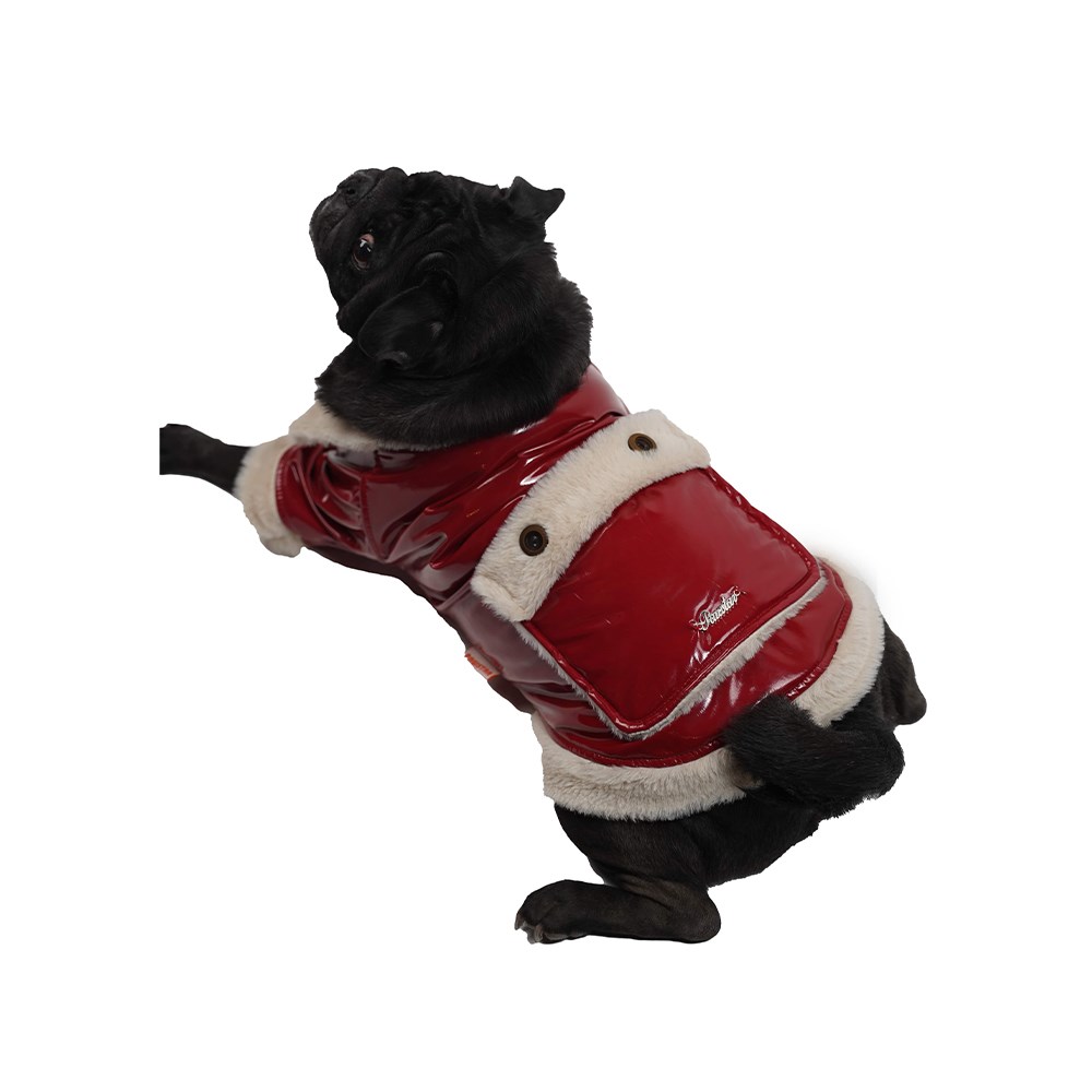 Pawstar Burgundy Clara Küçük Irk Köpek Montu