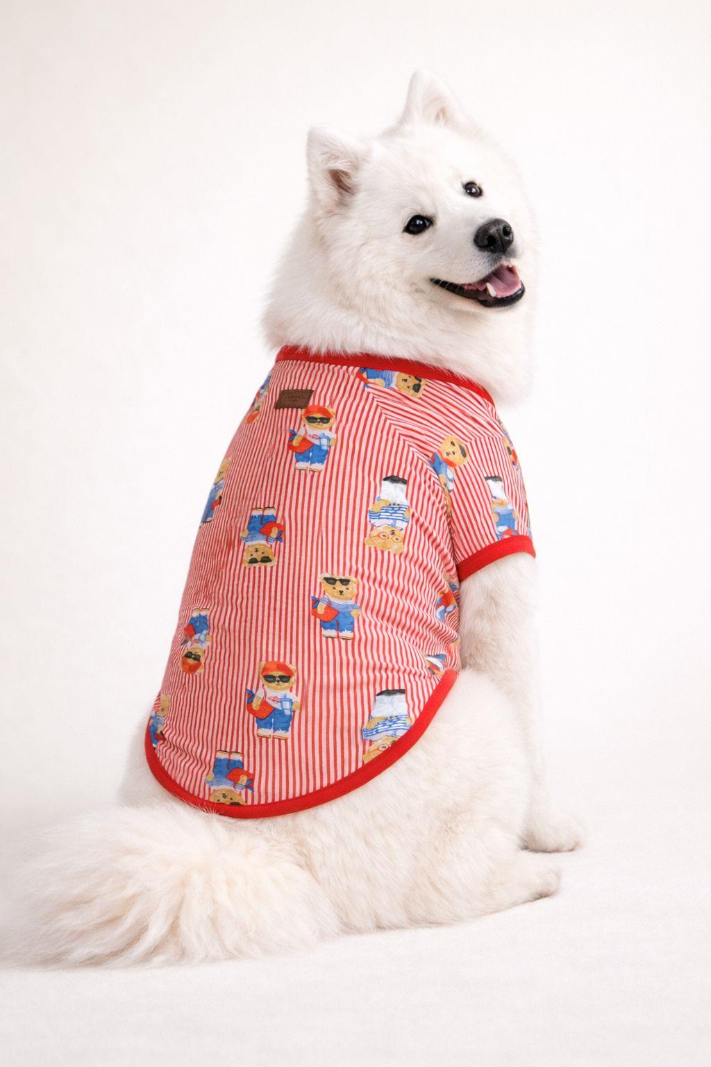 Alphadog Teddy Orta-Büyük Irk Köpek T-shirtü