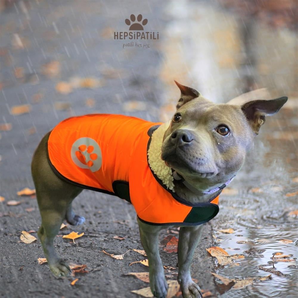 Pratik Giyim Reflektörlü İnce Küçük Köpek Yağmurluğu (4,5 kg-14 kg arasına uygun) Turuncu