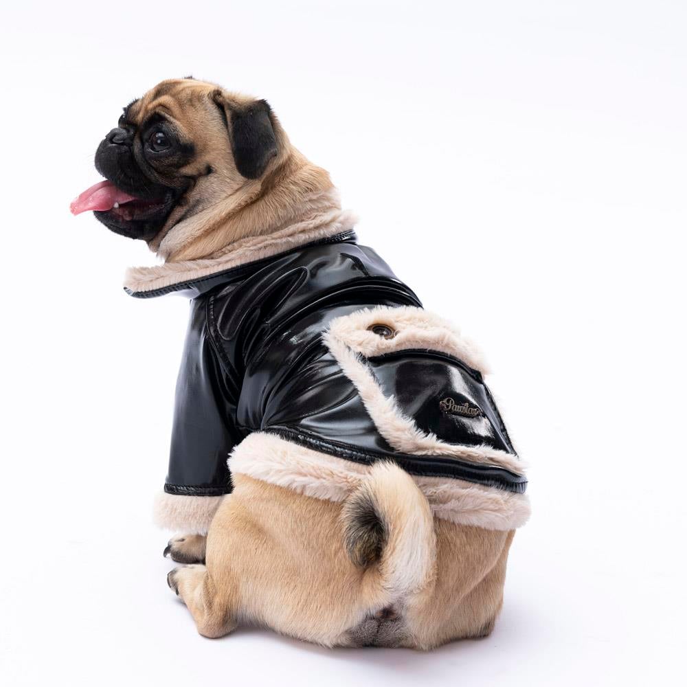 Pawstar Black Vegas Küçük Irk Köpek Montu