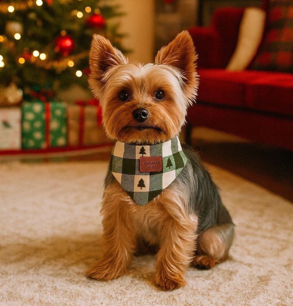 Alphadog Xmas Tree Kedi ve Köpek Bandanası