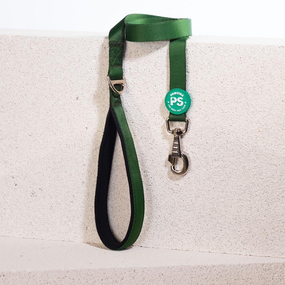 Pawstar Çam Yeşili Köpek Gezdirme Kayışı 120 cm x 2 cm