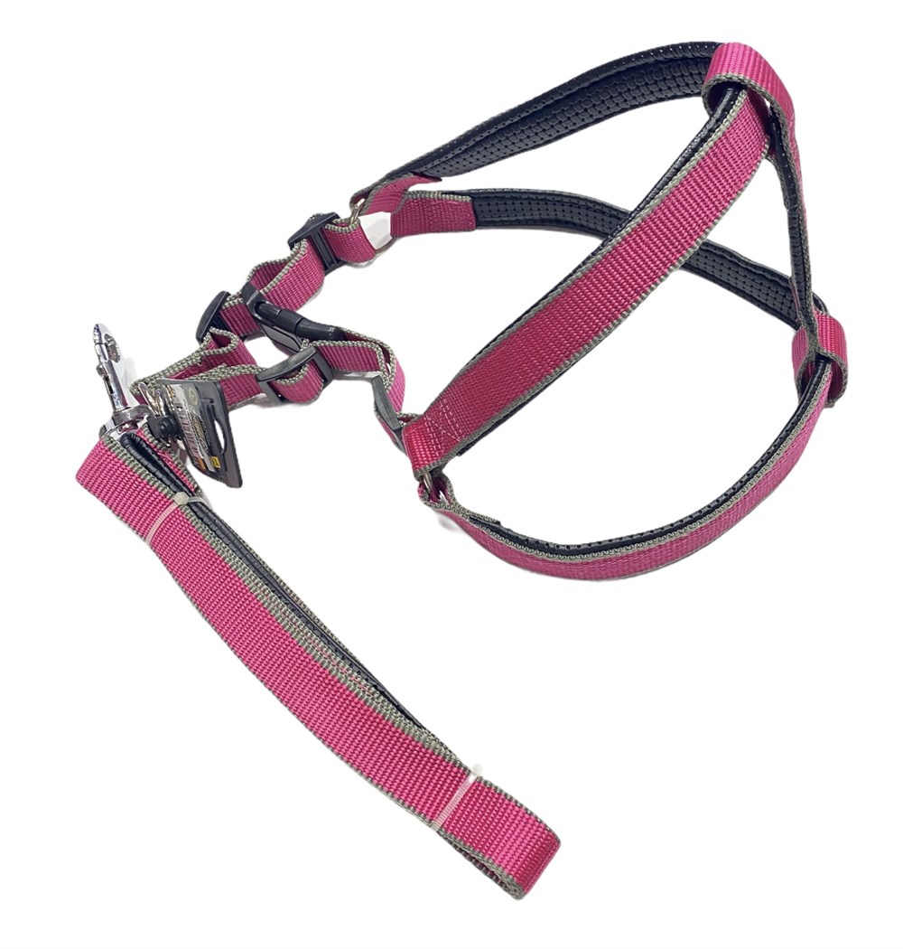 Büyük Boy Pembe Yumuşak Dokulu Göğüs Tasması ve Gezdirme Kayışı Seti (70 cm göğüs)