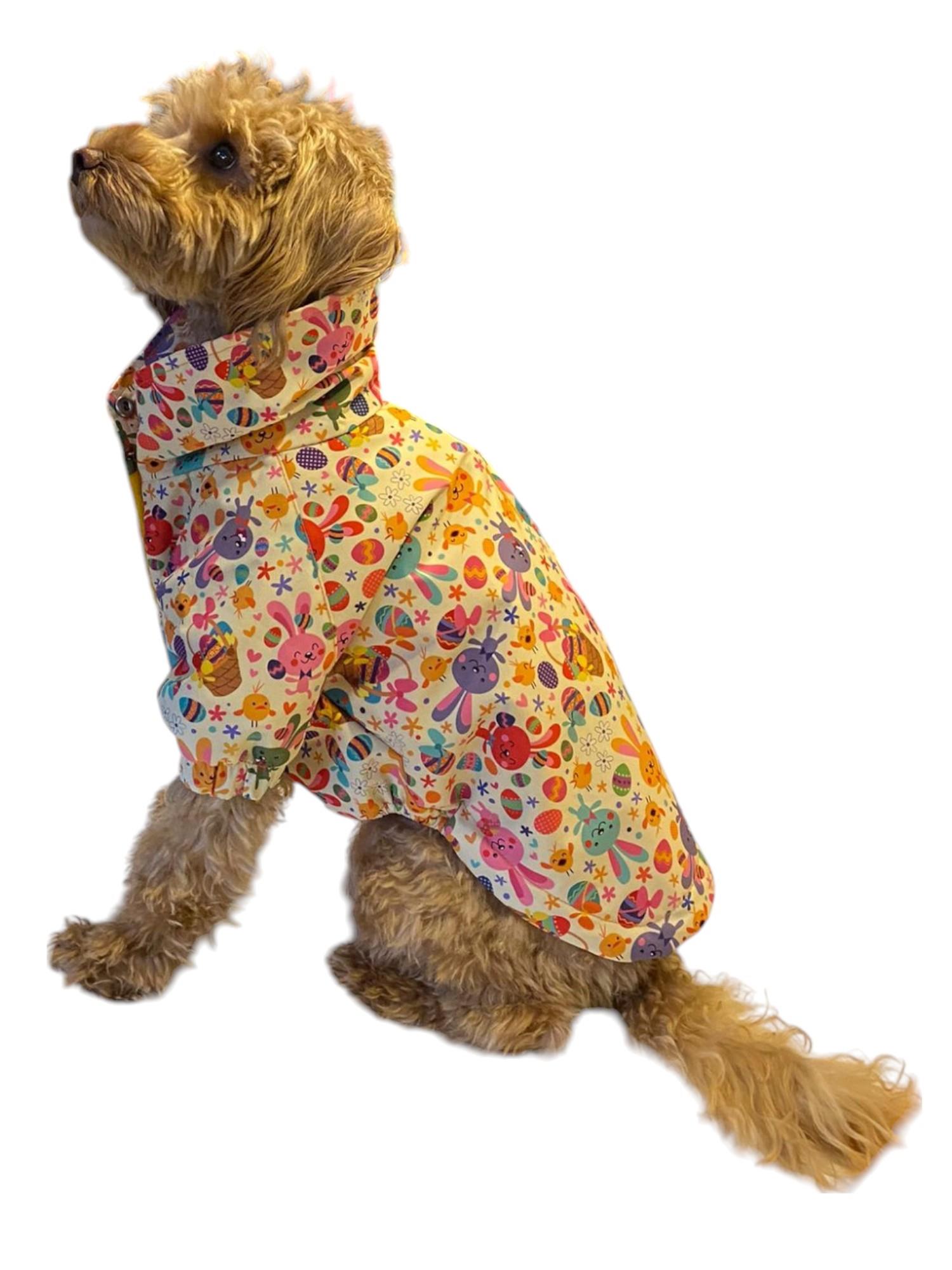 Gedyco Nice Bunny Polarlı Küçük Irk Köpek Yağmurluğu