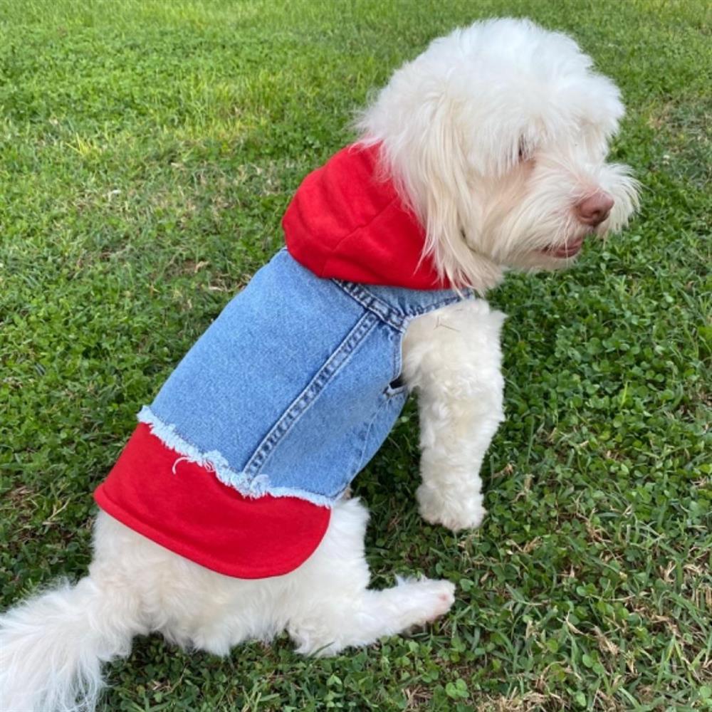 Küçük Irk Köpek için Kırmızı Sweatshirt Jean Yelek (2 kg-12 kg arasına uygun bedenlerde)