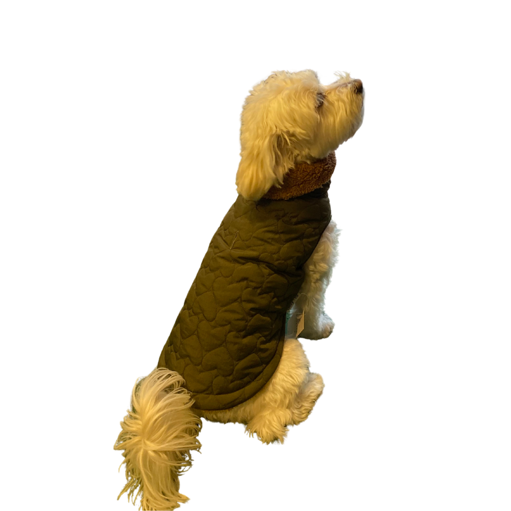 Gedyco Haki Kapitone İçi Peluşlu Küçük Irk Köpek Yeleği