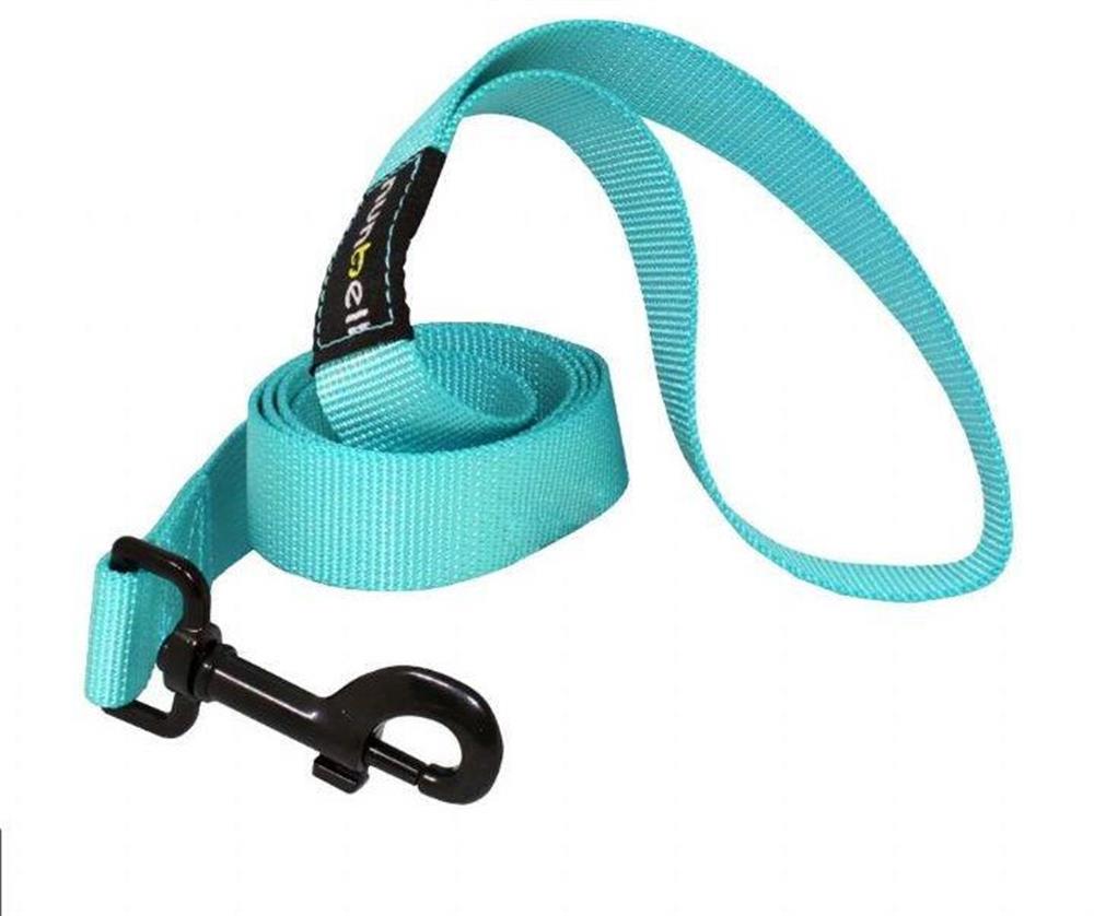 Nunbell Turkuaz Köpek Gezdirme Kayışı 120 cm x 2 cm