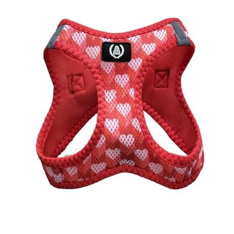 Alphadog Lover Air-Mesh Göğüs Tasması