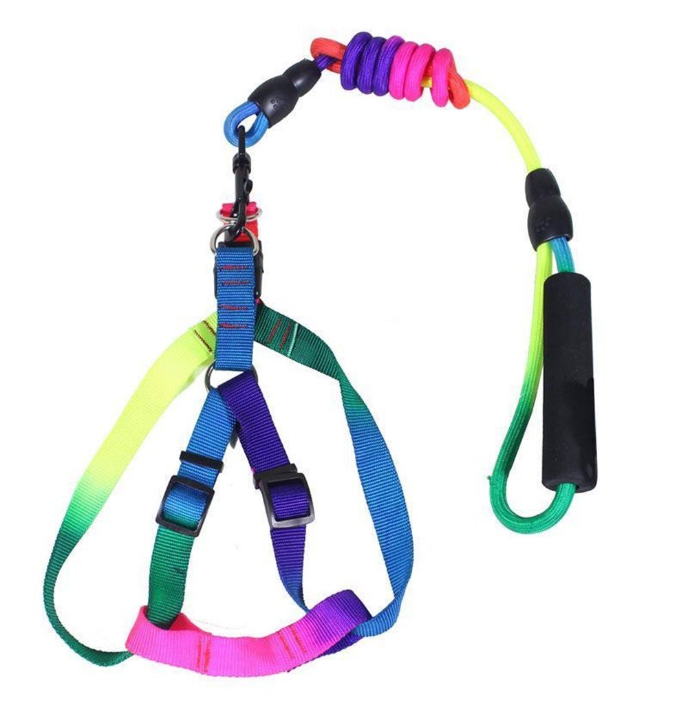 Gökkuşağı Göğüs ve Uzatma Fitil Tasma Seti Orta ve Büyük Irk