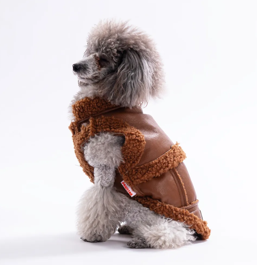 Pawstar Kahverengi Churchill Su Geçirmez Küçük Irk Köpek Yeleği