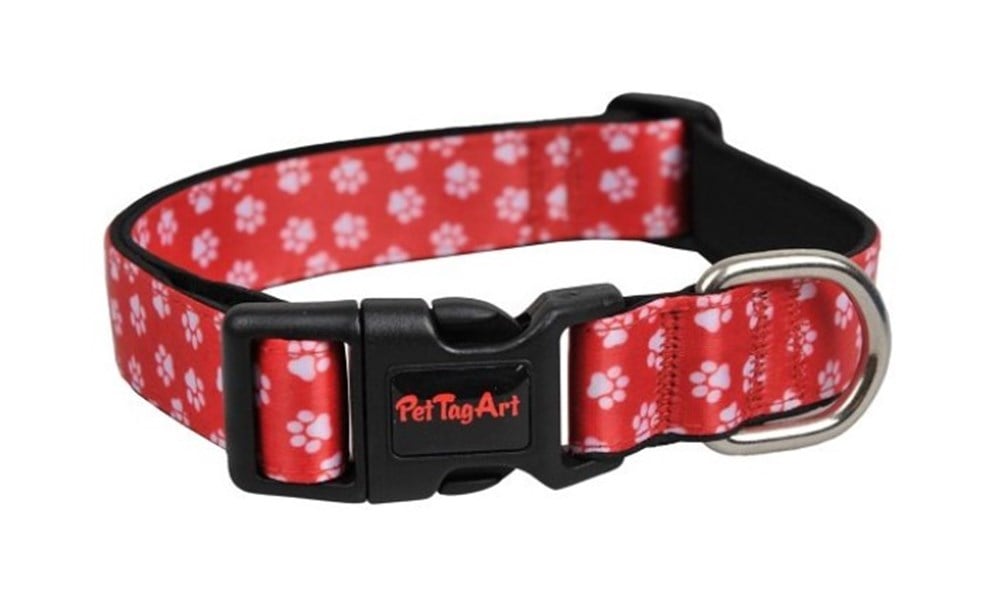 Patili Kırmızı Kedi/Köpek Boyun Tasması