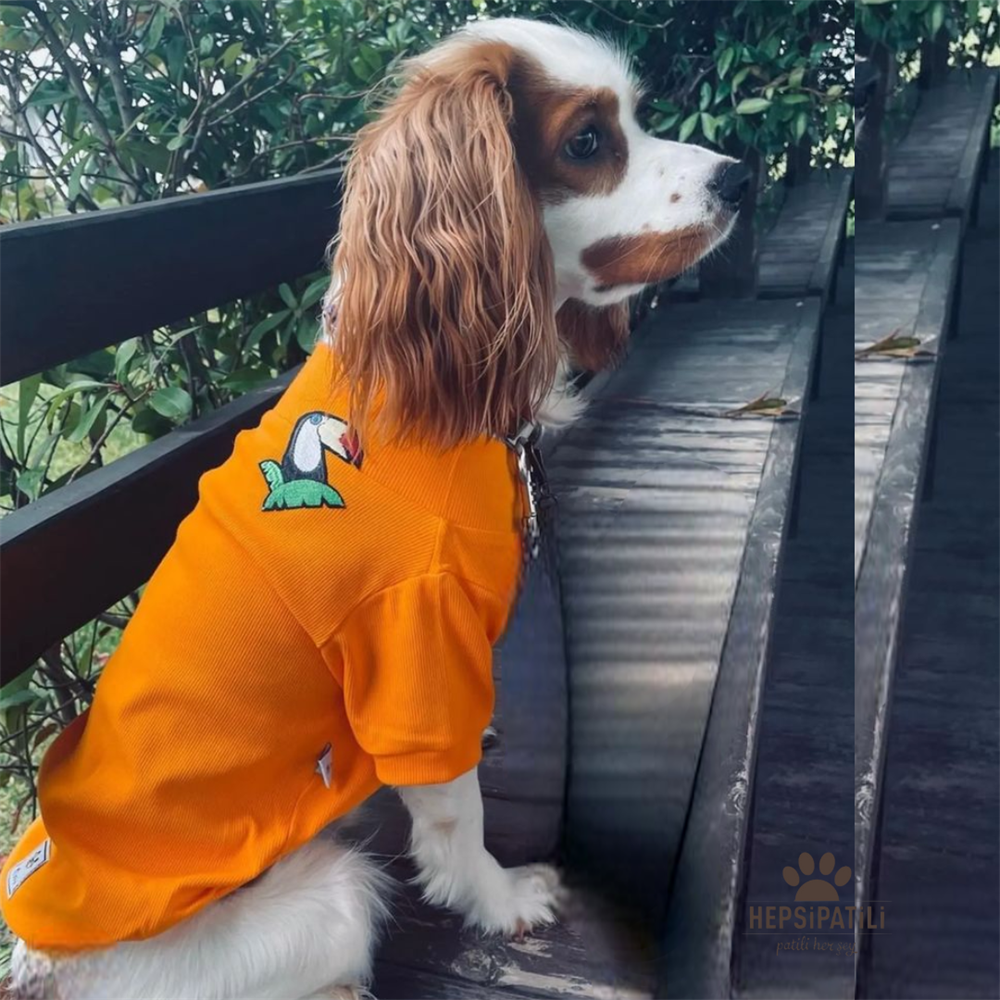 Tukan Orange Esnek Basic Kaşkorse Köpek Sweatshirtü (2 kg-13 kg arası köpeklere uygun bedenlerde)
