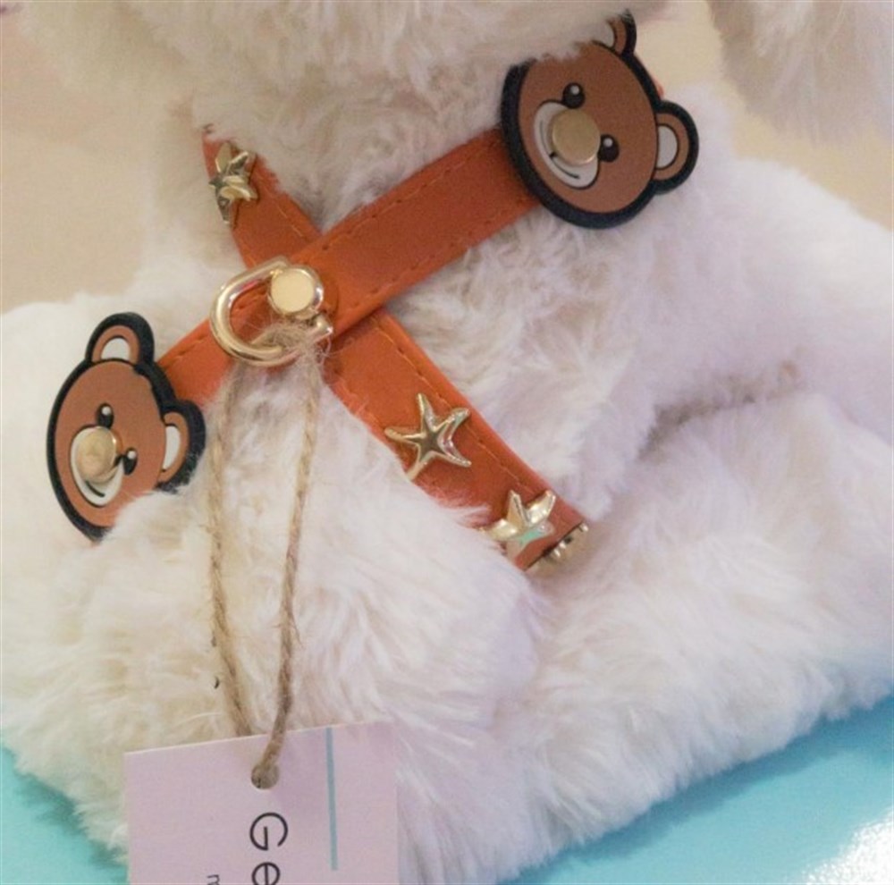 Gedyco Orange Bear Küçük Irk Köpek Göğüs Tasması