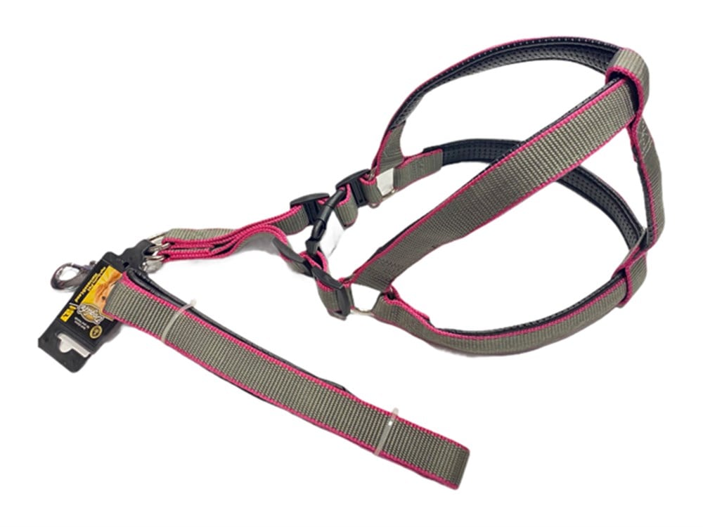 Büyük Boy Gri Yumuşak Dokulu Göğüs Tasması ve Gezdirme Kayışı Seti (70 cm göğüs)