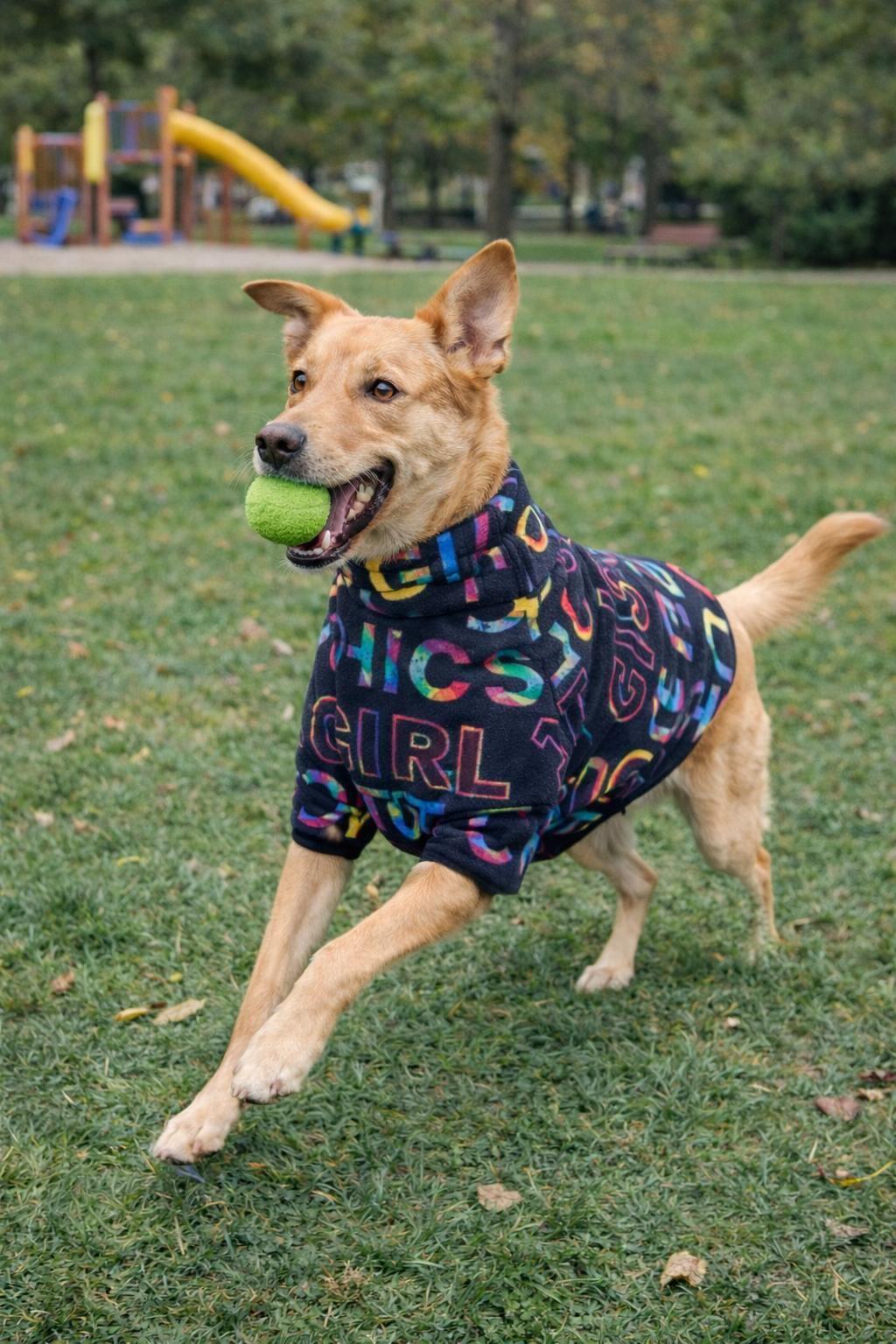 Gedyco Chic Girl Polar Orta Irk Köpek Sweatshirtü (8 kg-20 kg arası köpeklere uygundur)