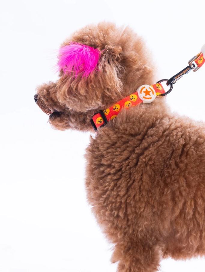 Pawstar Poodle Boyun Tasması M (Boyun çevresi: 32 cm x 48 cm)