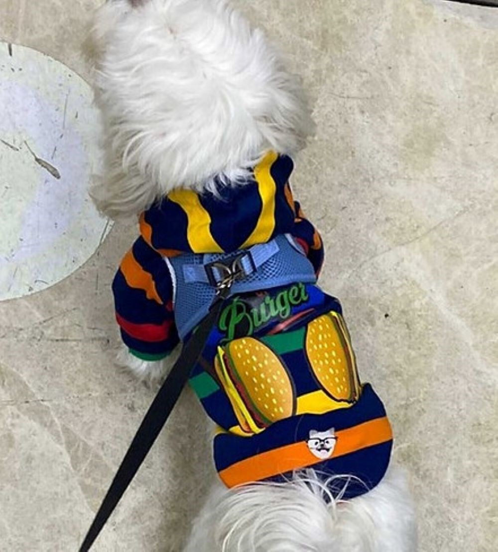 Kapüşonlu Burger Küçük Köpek Sweatshirtü (2,5 kg-11 kg arası köpeklere uygun bedenlerde)