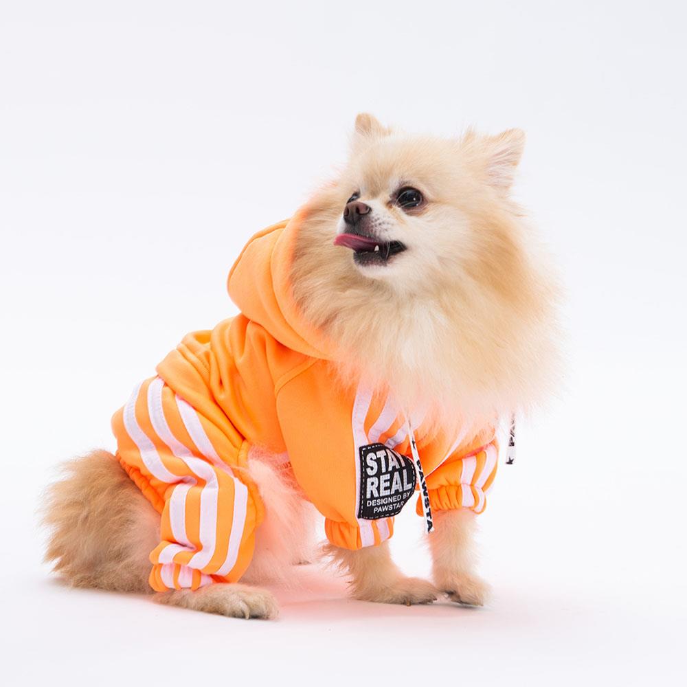 Pawstar Orange Tuta Küçük Irk Köpek Tulumu