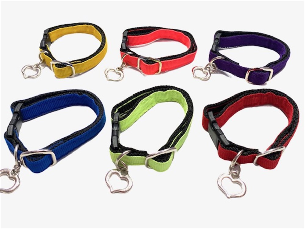 Kalp Künyeli Boyun Tasması (1 adet)