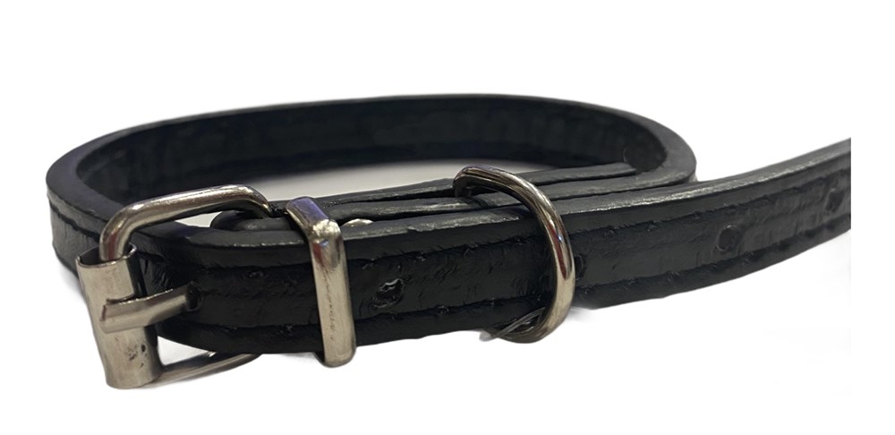 Siyah Deri Kedi ve Köpek Boyun Tasması