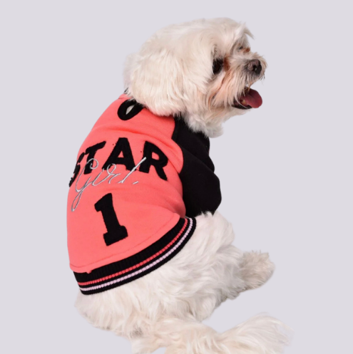 Gedyco Star Girl Polarlı Küçük Irk Köpek Sweatshirtü