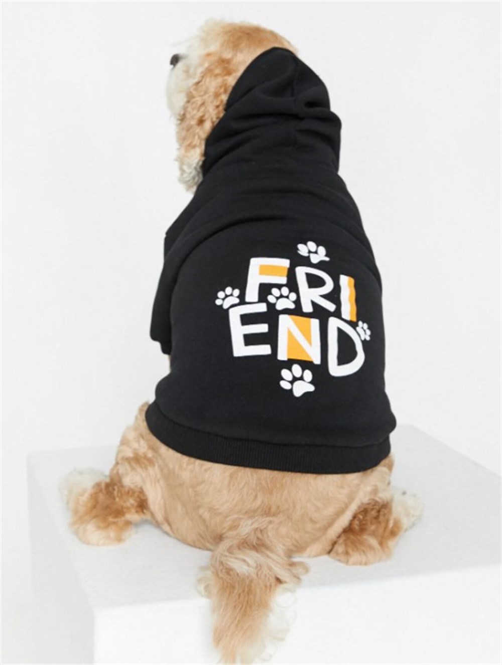 Koton Friend Küçük-Orta Irk Köpek Sweatshirtü