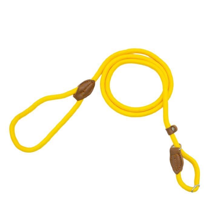 Ally Paws Boyun ve Gezdirme Tasması L Sarı 1,2 cm x 150 cm