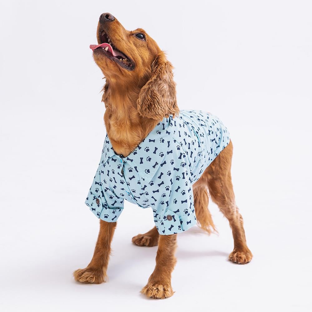 Pawstar Blue Ossa Kedi ve Küçük Irk Köpek Gömleği (2,5 kg-11 kg arasına uygun)