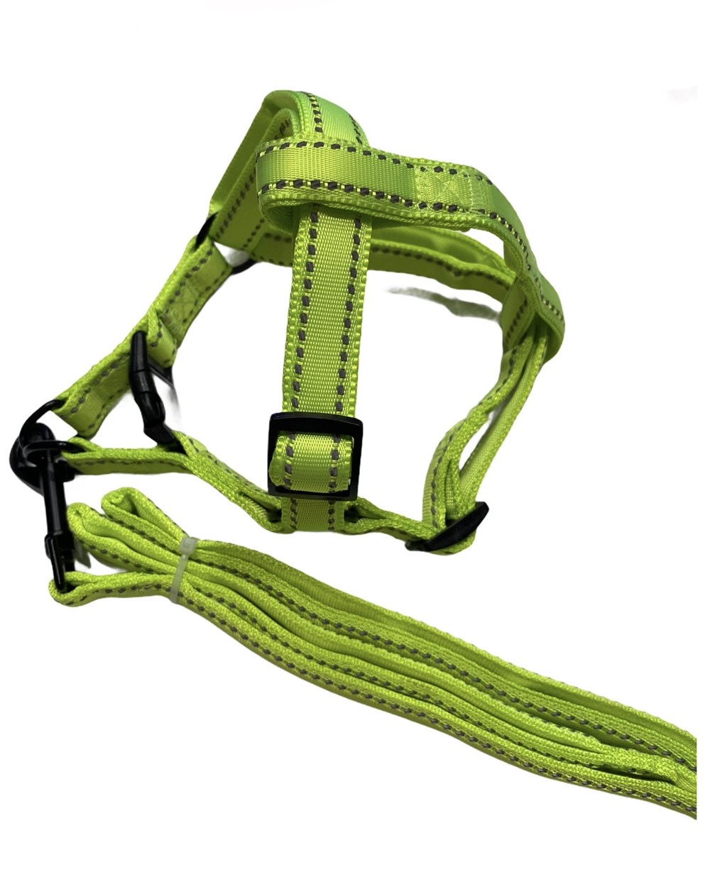 Doglife Neon Sarı Fosforlu Göğüs ve Gezdirme Tasma Seti (göğüs 55-70 cm)