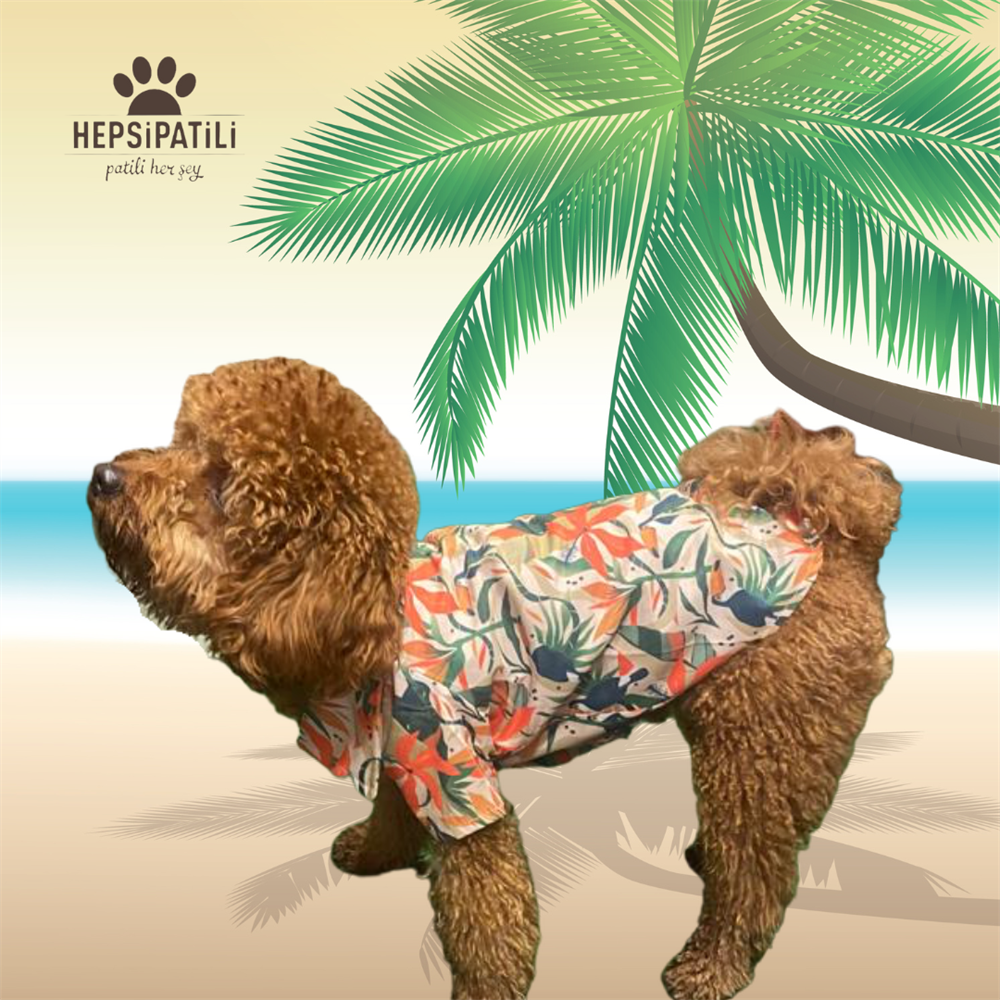 Hawai Küçük Irk Köpek Gömleği (2,5 kg - 13 kg arasına uygun bedenlerde)